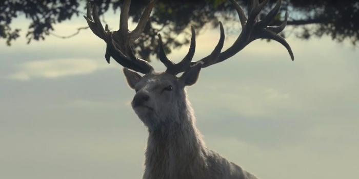 House of the Dragon episodio 3: 6 detalles y cosas para recordar de la precuela de Game of Thrones 5 House of the Dragon episodio 3 6 detalles y cosas