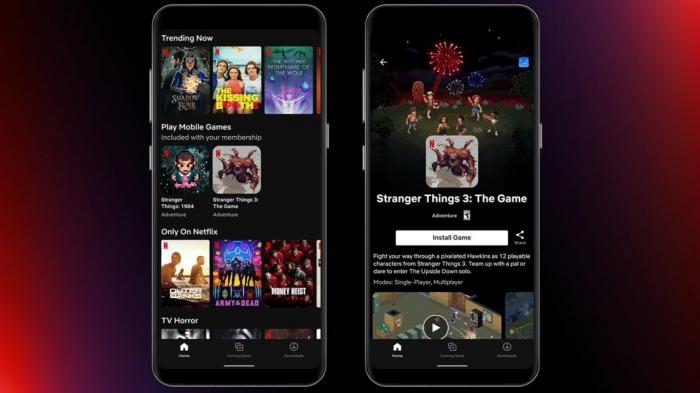 Netflix: ante su caída de suscriptores, la plataforma decide diversificarse en este ámbito tan concreto 4 Netflix ante su caida de suscriptores la plataforma decide diversificarse