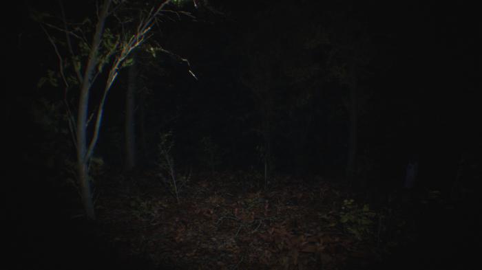 Steam: este terrorífico nuevo videojuego en primera persona alcanza un nuevo nivel de terror 3 Steam este terrorifico nuevo videojuego en primera persona alcanza un