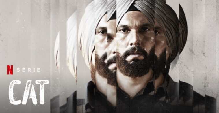 Gato Temporada 2: ¿Qué fecha de lanzamiento de Netflix? ¿Una secuela planeada? 1 cat saison 2 netflix