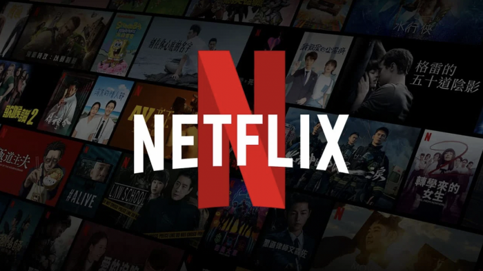 Netflix cancelada despues de dos temporadas esta serie bien podria