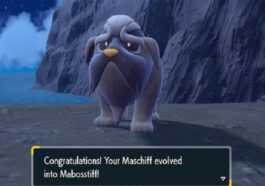 comment faire evoluer grondogue