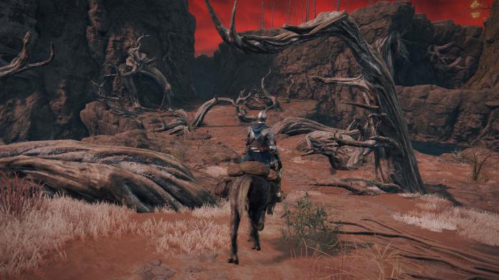 Elden Ring: el juego del año de FromSoftware acaba de romper cinco récords de una sola vez 3 1672594327 303 Elden Ring el juego del ano de FromSoftware acaba de