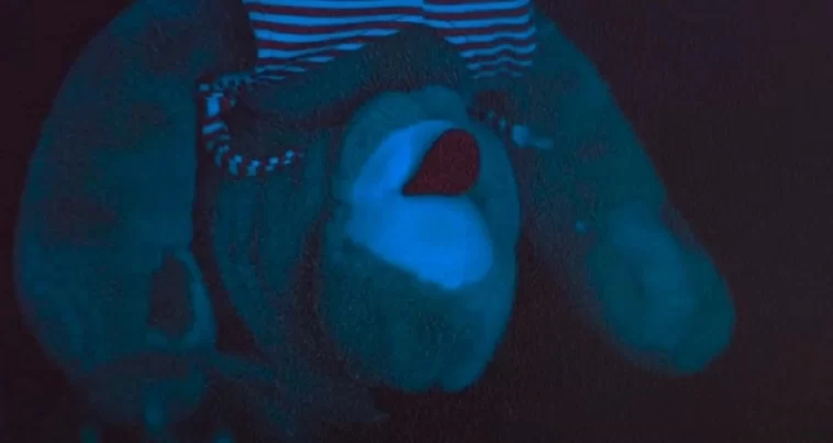 Skinamarink: ¿La película está inspirada en una historia real? 1 Ayther logo