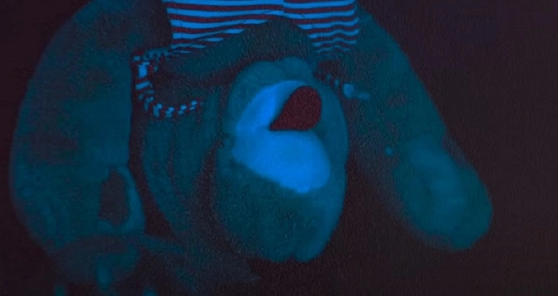 Skinamarink: ¿La película está inspirada en una historia real? 2 skinamarink historia real