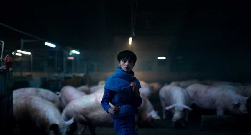 Vaquero de Copenhague: ¿Qué significan los cerditos? 2 cerdos vaqueros de copenhague