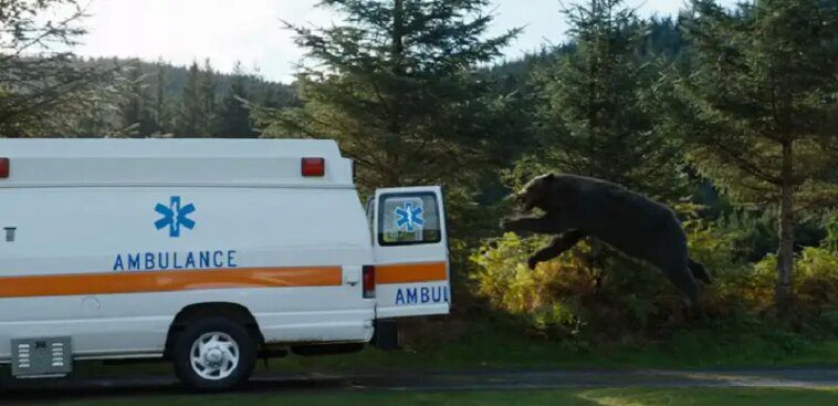 Crazy Bear: ¡Explicación del final! Quien esta muerto ? 1 Ayther logo