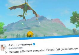 Zelda Tears of the Kingdom: 20 jugadores que torturan a los korogus de la peor manera