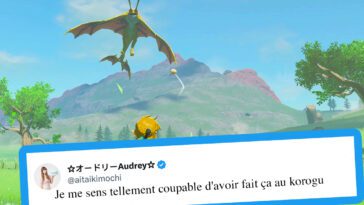 Zelda Tears of the Kingdom: 20 jugadores que torturan a los korogus de la peor manera