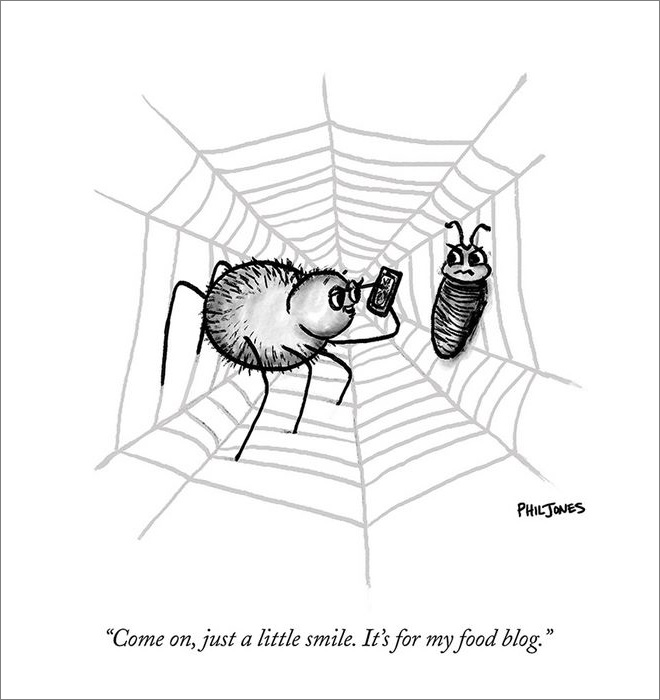 21 cómics con una caída retorcida para los amantes del humor absurdo (parte 2) 3 caricatura con una araña