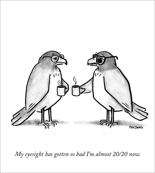 21 cómics con una caída retorcida para los amantes del humor absurdo (parte 2) 20 caricatura con pájaros