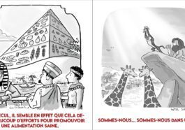 22 cómics para fanáticos del sarcasmo