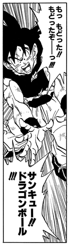 dragon ball goku cita n°4