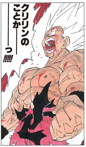 dragon ball goku cita n°2