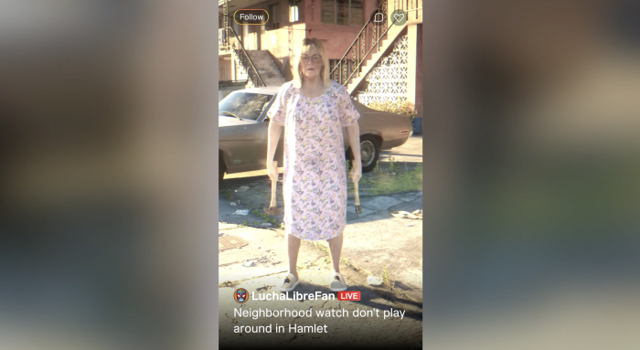 Mujer Martillo GTA VI