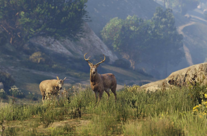 Ciervo en GTA V