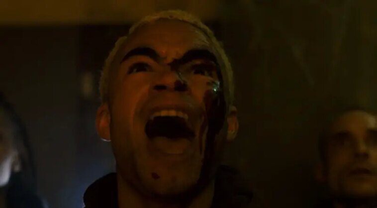 Vermin: ¿Qué edad tienen los niños en el cine? 1 Ayther logo