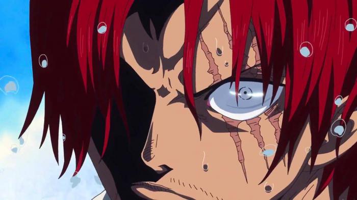 Shanks enojados de una pieza