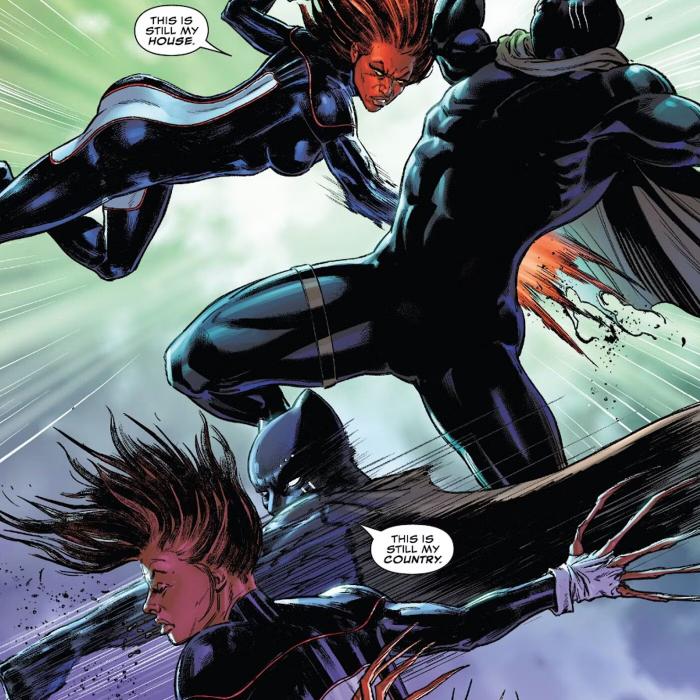 Pantera Negra vs Monet St Croix Marvel Comics