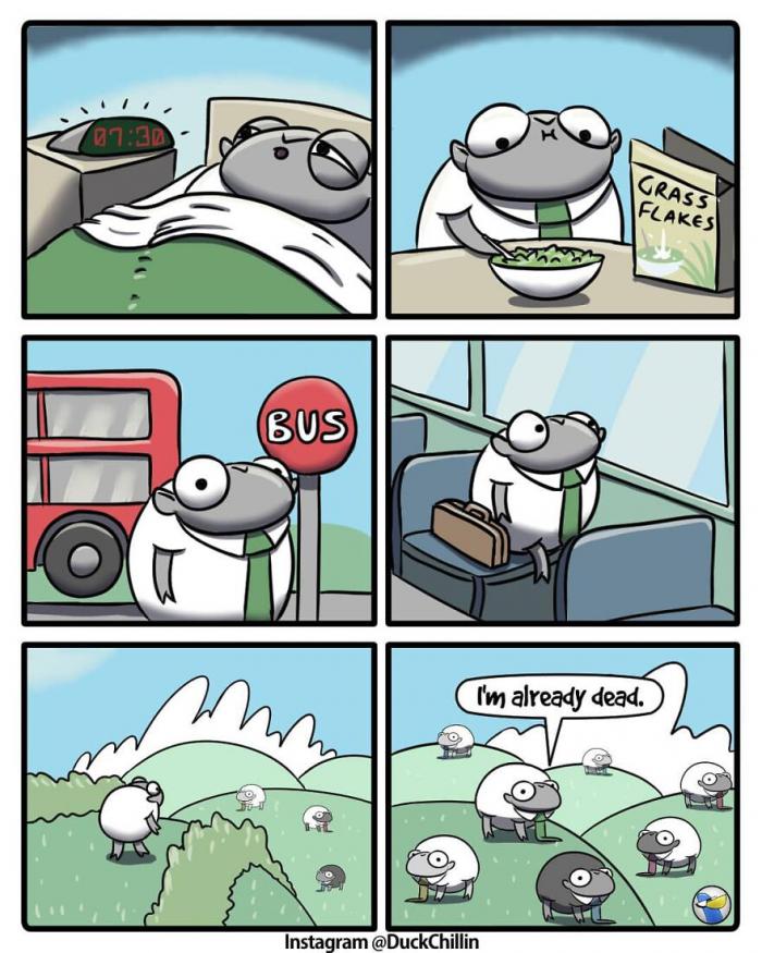 BD frente a una parada de autobús