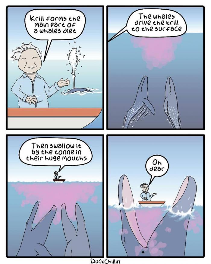 Cómics con ballenas