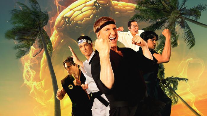 Squid Game, Arcane... 14 series de Netflix para (re)ver antes de su regreso en 2024 12 cobra kai netflix