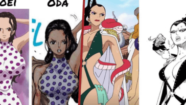 One Piece: 11 veces el fan service del anime fue demasiado lejos