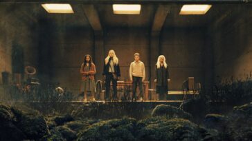 The Watchers: Tráiler de la nueva película producida por M. Night Shyamalan