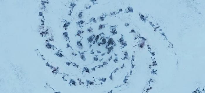 caminantes blancos en espiral juego de tronos