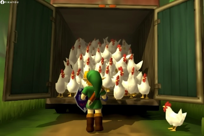 Link carga las Cocottes