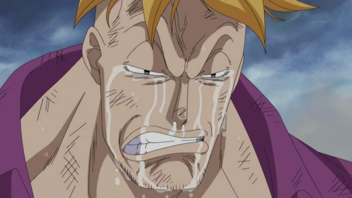 One Piece: malas noticias para los fans del manga de Eiichirō Oda 3 una pieza