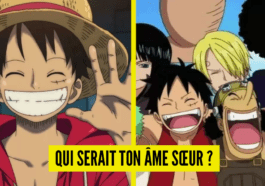 Prueba de personalidad de One Piece: ¿Qué miembro de la tripulación de Luffy sería tu alma gemela?