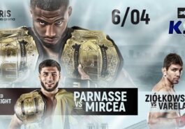 salahdine parnasse mircea streaming