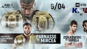 salahdine parnasse mircea streaming