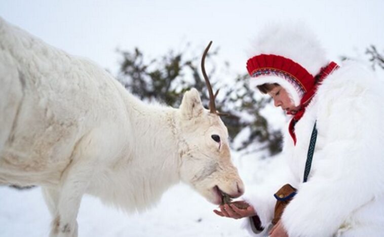 Stold: ¿Dónde se filmó? Lugares de rodaje ! 1 ou a ete filme stold