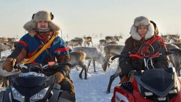 stold histoire vraie