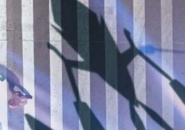 La sombra de un Pokémon legendario