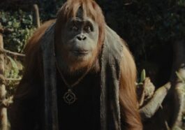 la planete des singes 4 le nouveau royaume streaming