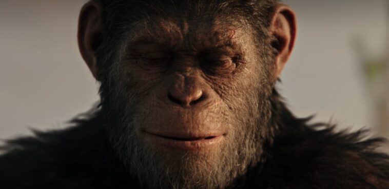 El planeta de los simios: ¡Resumen de la trilogía! Elementos importantes 1 la planete des singes trilogie resume