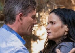 ncis saison 21 fin