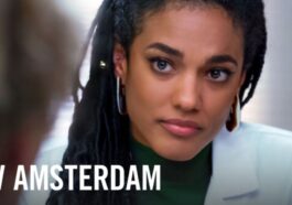 new amsterdam saison 5 netflix