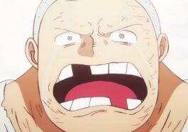 one piece episode 1108