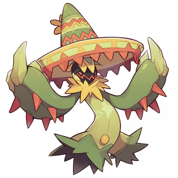 Sombrero de cactus saguaro