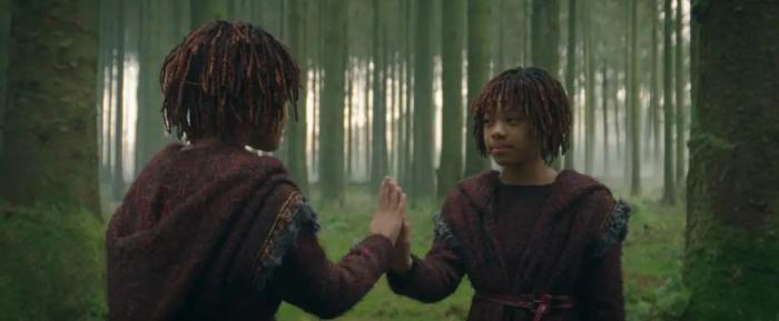 osha mae el compañero