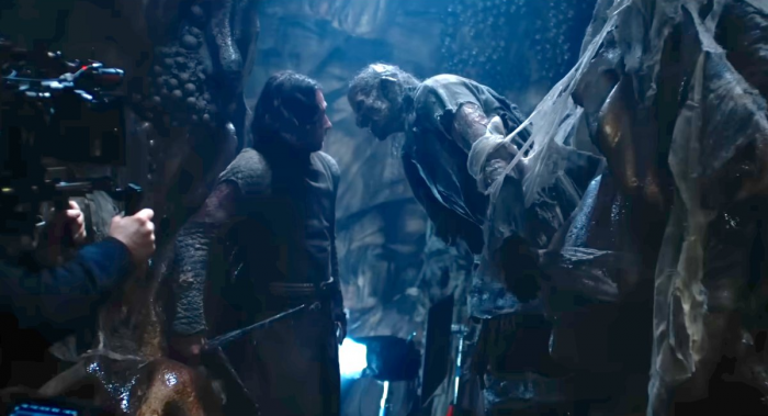 anillos de la araña de poder