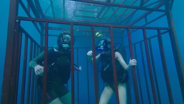 47 metros abajo: ¡Explicación del final! Quien esta muerto ? 1 47 meters down fin