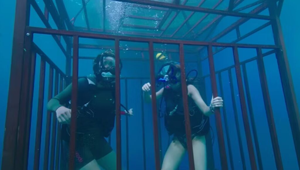 47 metros abajo: ¡Explicación del final! Quien esta muerto ? 2 47 metros abajo