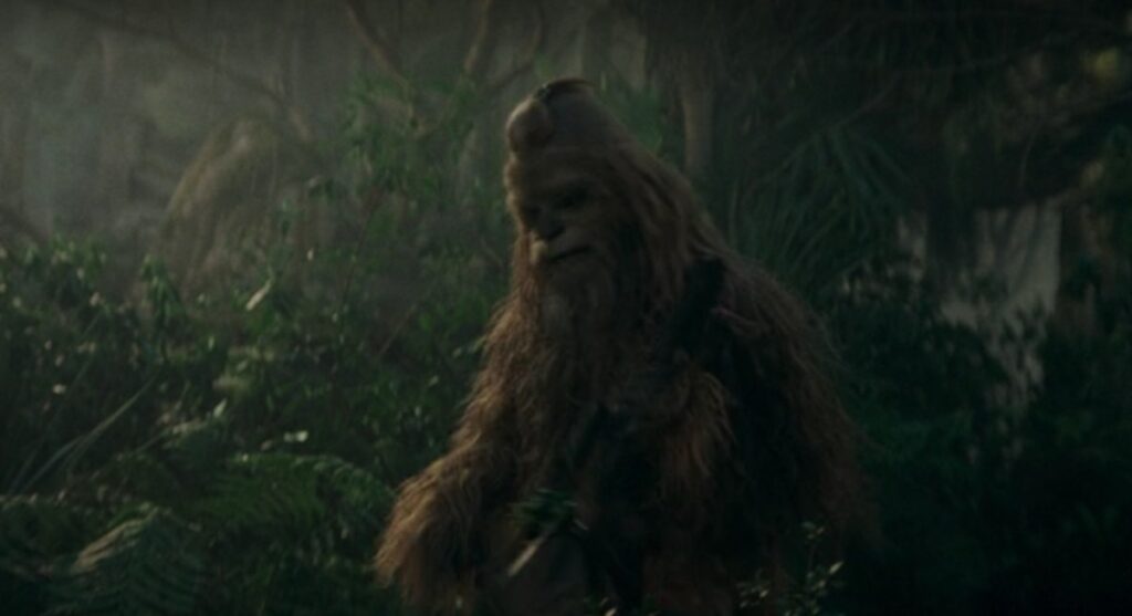 El acólito: ¿Quién es Kelnacca? ¡El wookie Jedi! 2 Kelnacca el compañero