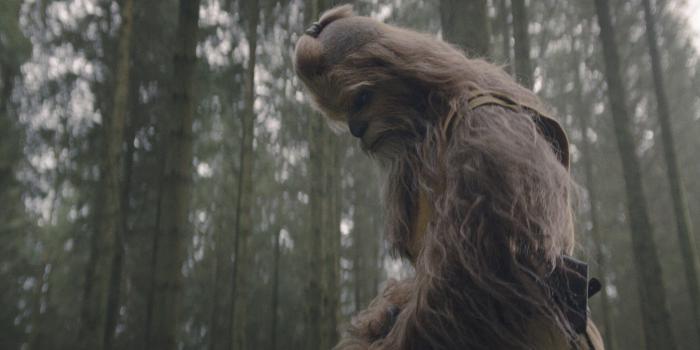 Kelnacca, el wookie Jedi