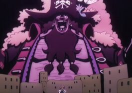 one piece episode 1114